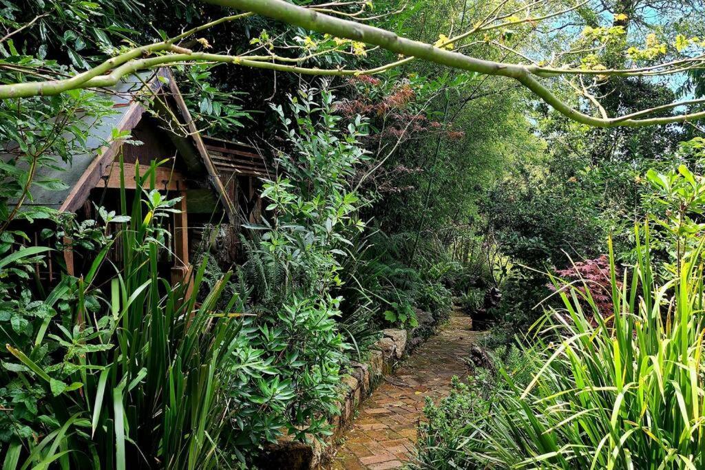 The Black Cockatoo - Secret Garden Treetops Home 肯图巴 外观 照片