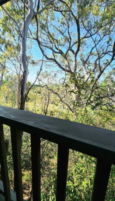 The Black Cockatoo - Secret Garden Treetops Home 肯图巴 外观 照片